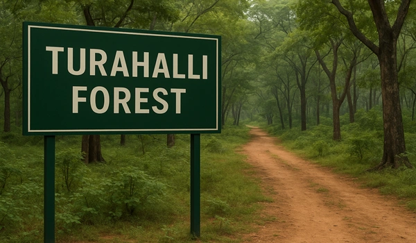 Turahalli Forest located near Kanakapura Road in Bangalore, ideal for nature and trekking